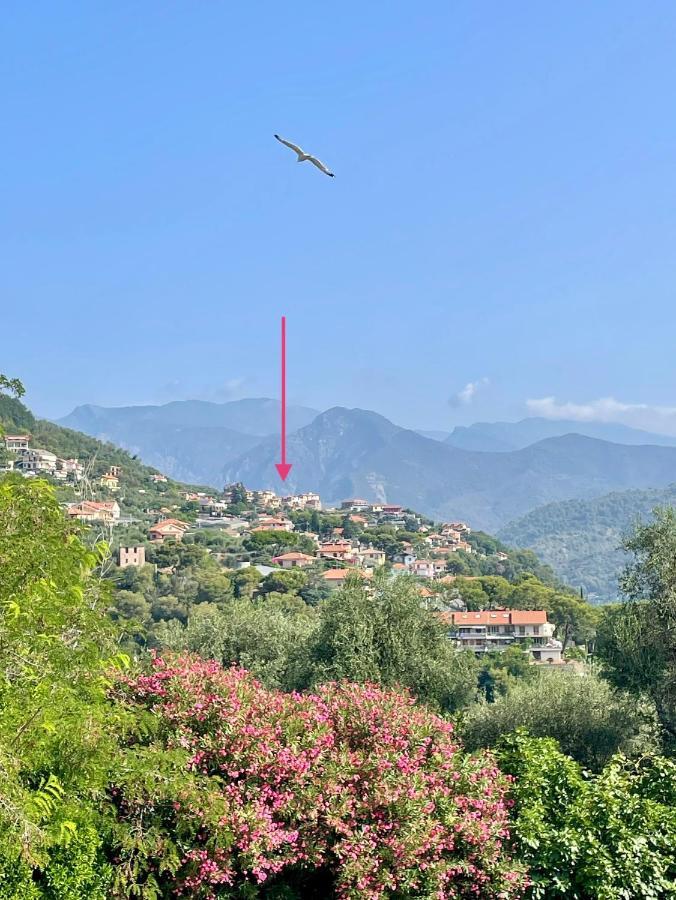 La Terrazza Di Seglia Lägenhet Ventimiglia Exteriör bild